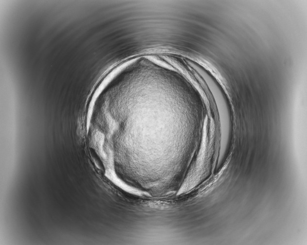 X0000095671097200802051225