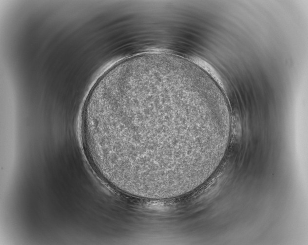 X0000095671098200802051225