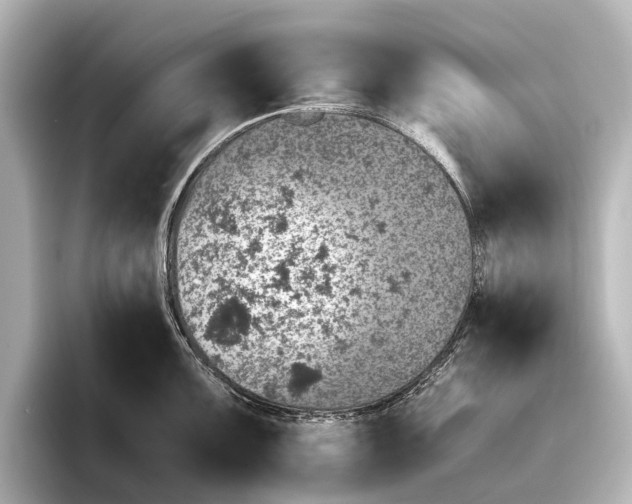 X0000095671099200802051225