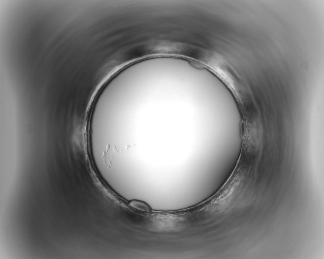 X0000095671100200802051225