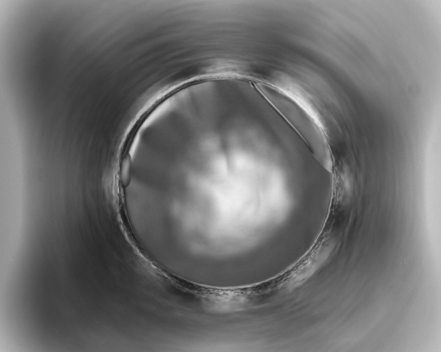 X0000095671101200802051225