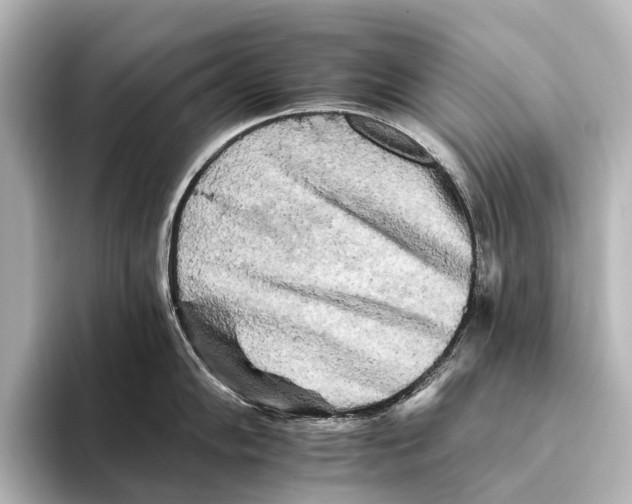 X0000095671102200802051225