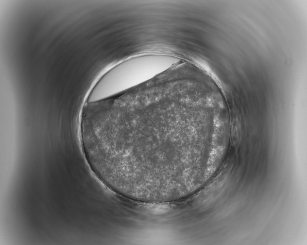 X0000095671103200802051225