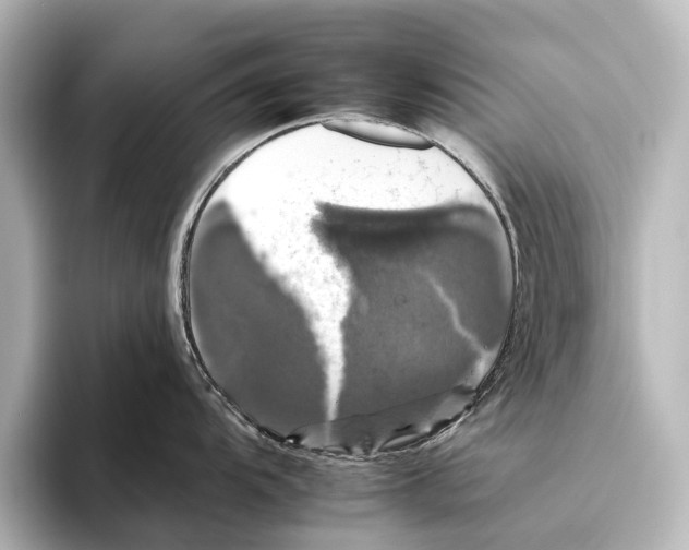 X0000095671104200802051225