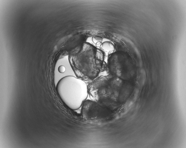 X0000095671105200802051224