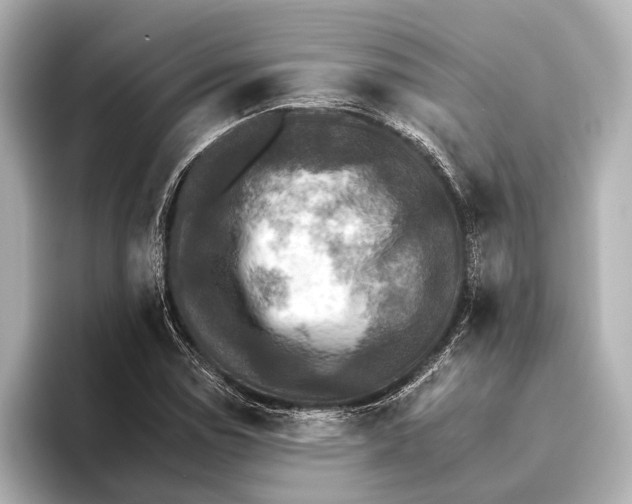 X0000095671114200802051224