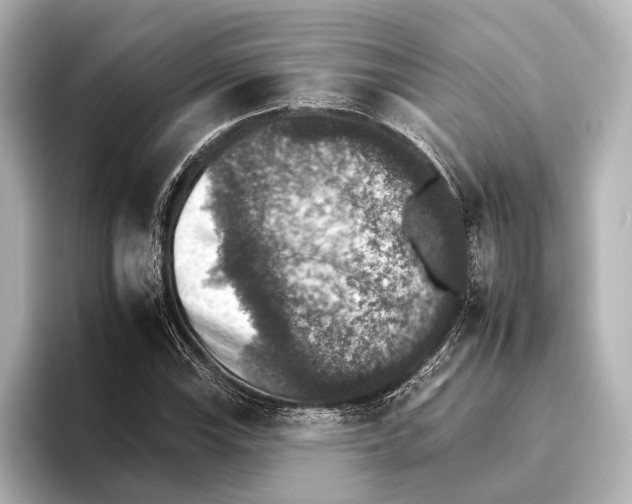 X0000095671115200802051224