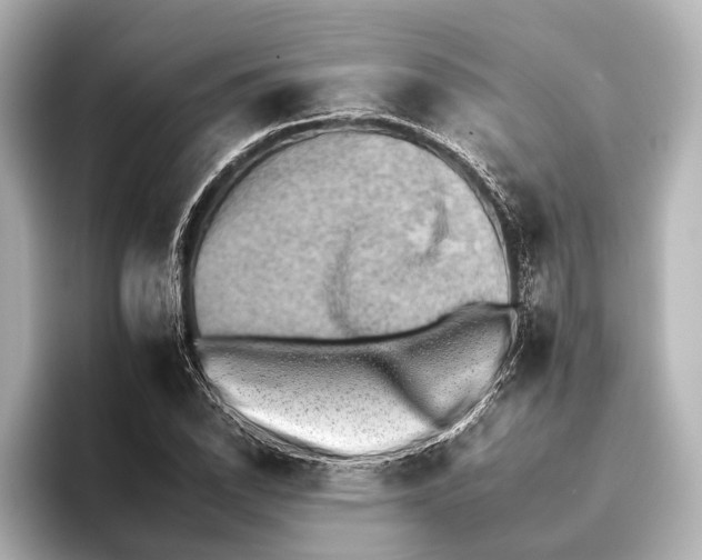 X0000095671118200802051224