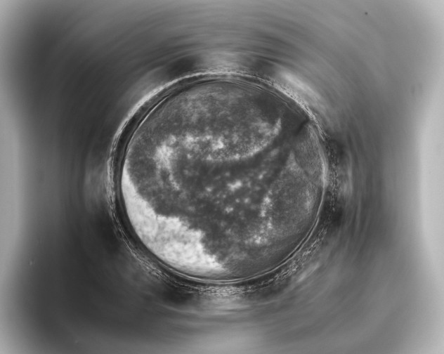 X0000095671120200802051224