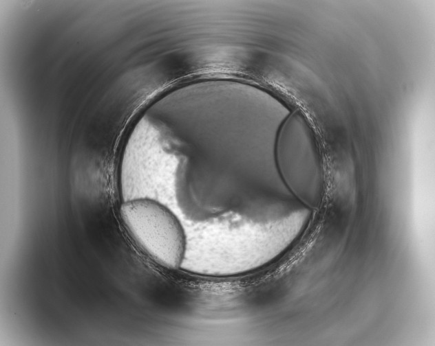 X0000095671121200802051224