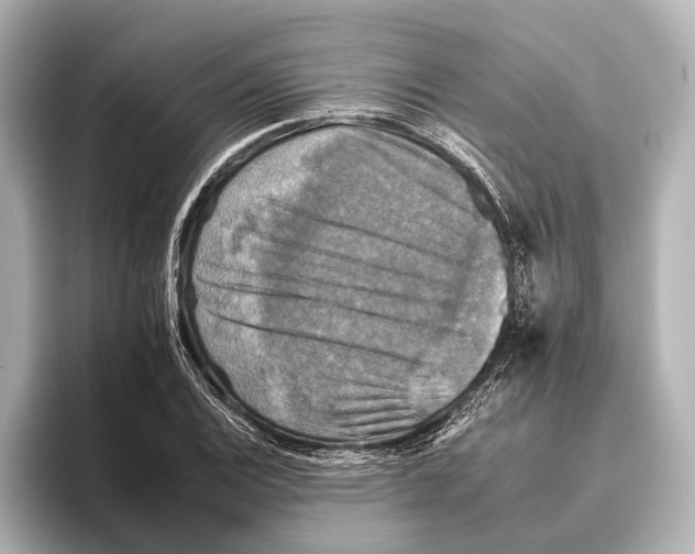 X0000095671124200802051224