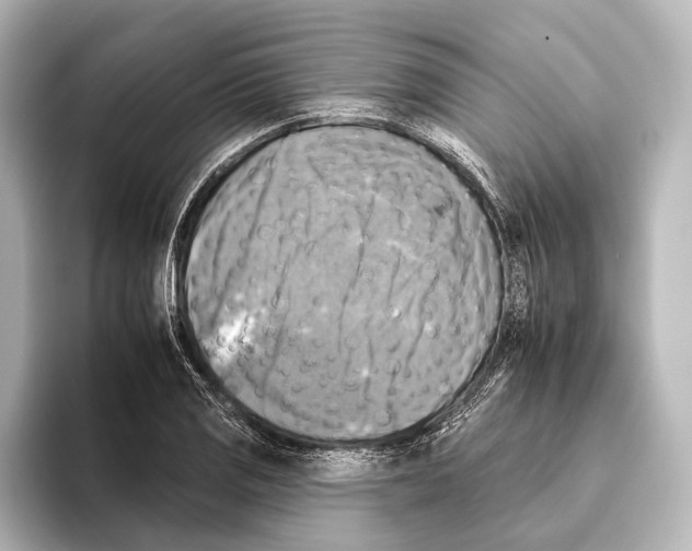 X0000095671125200802051224