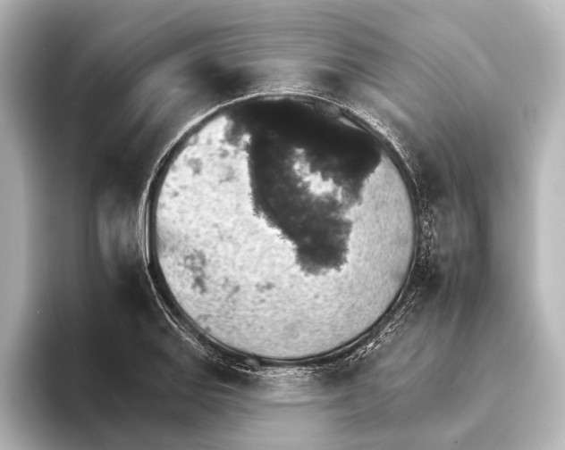 X0000095671127200802051224