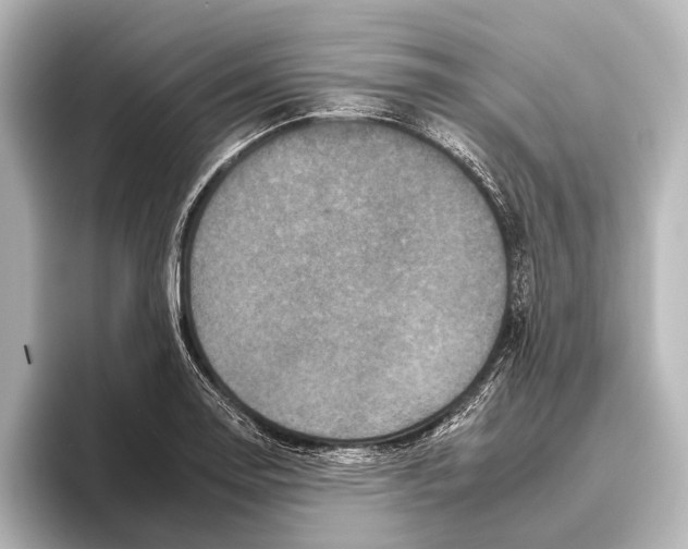 X0000095671130200802051224