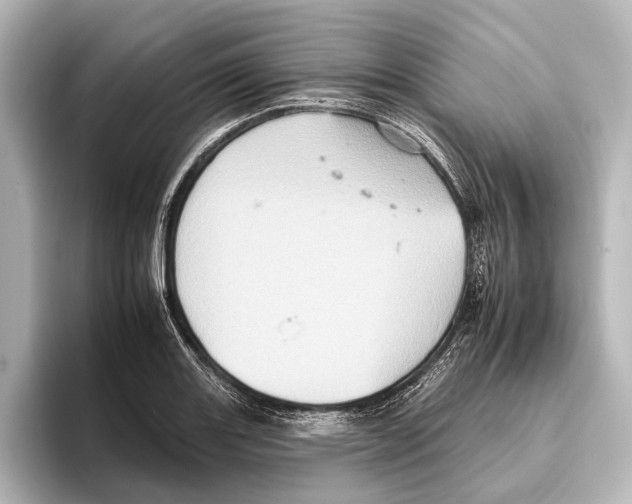 X0000095671131200802051225