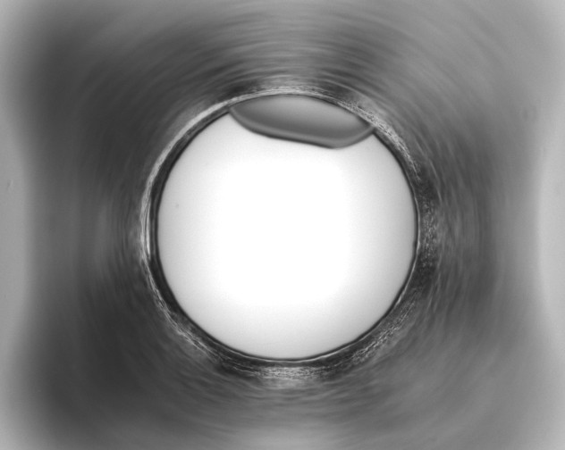 X0000095671132200802051225