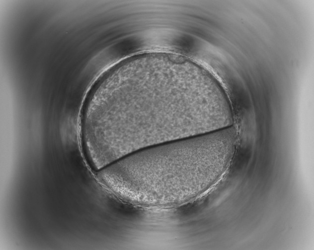 X0000095671133200802051225