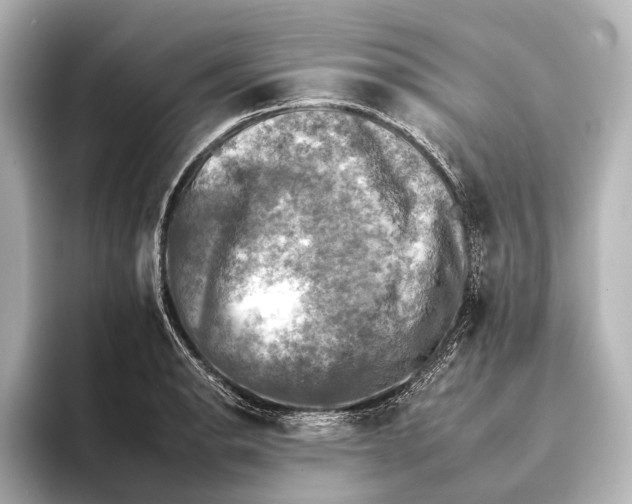 X0000095671134200802051225