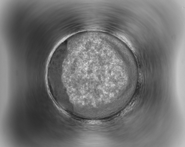 X0000095671136200802051225