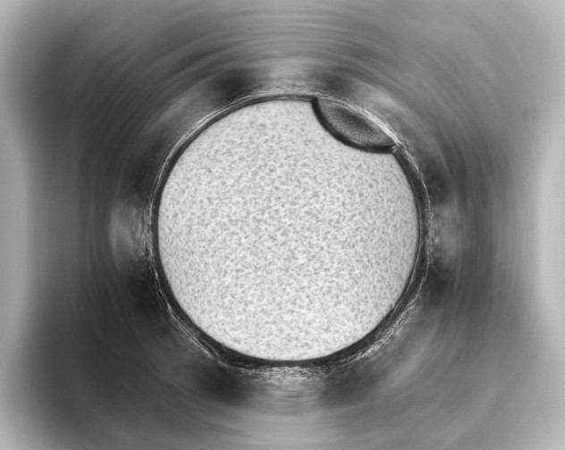 X0000095671137200802051225