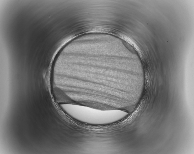 X0000095671138200802051225