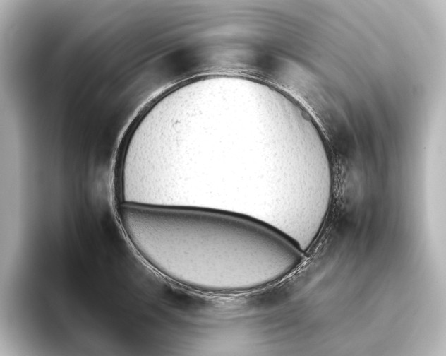 X0000095671139200802051225