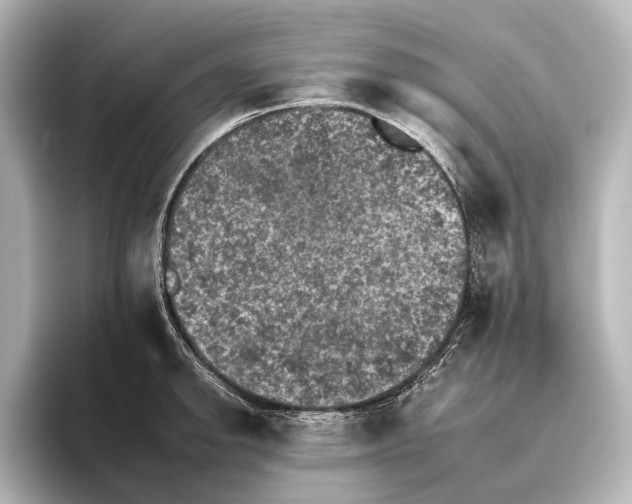 X0000095671142200802051225