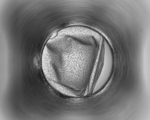 X0000095671145200802051225