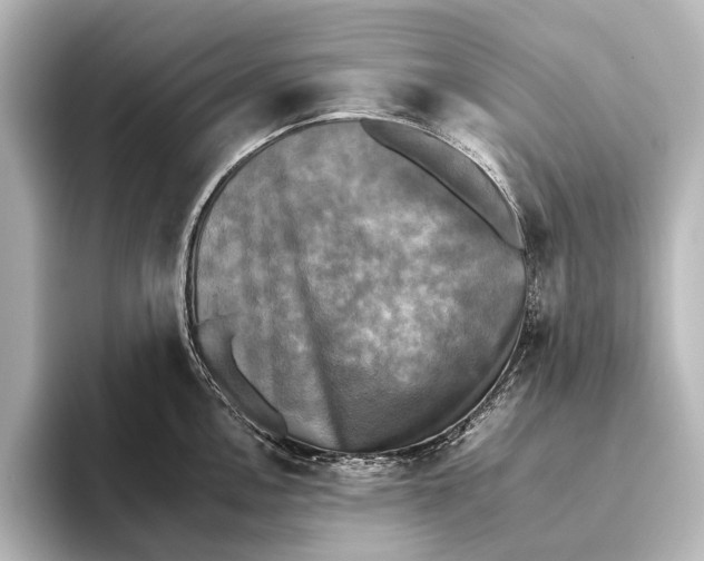 X0000095671146200802051225