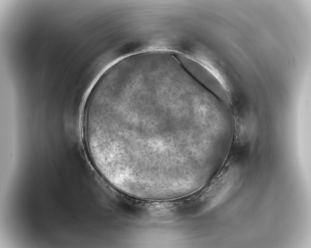 X0000095671148200802051225