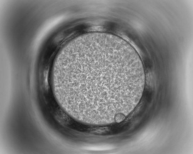 X0000095671150200802051225