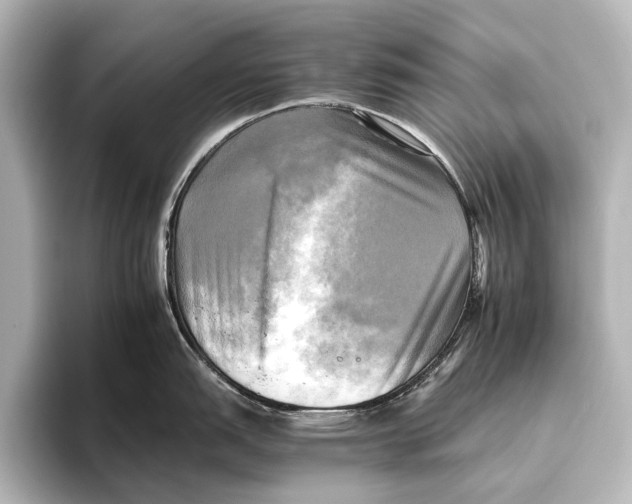 X0000095671151200802051225