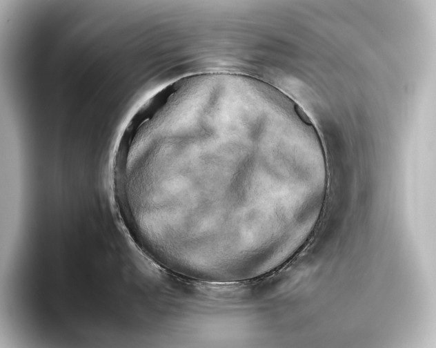 X0000095671152200802051225