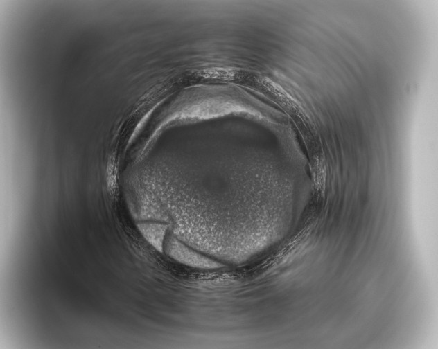 X0000095671154200802051224