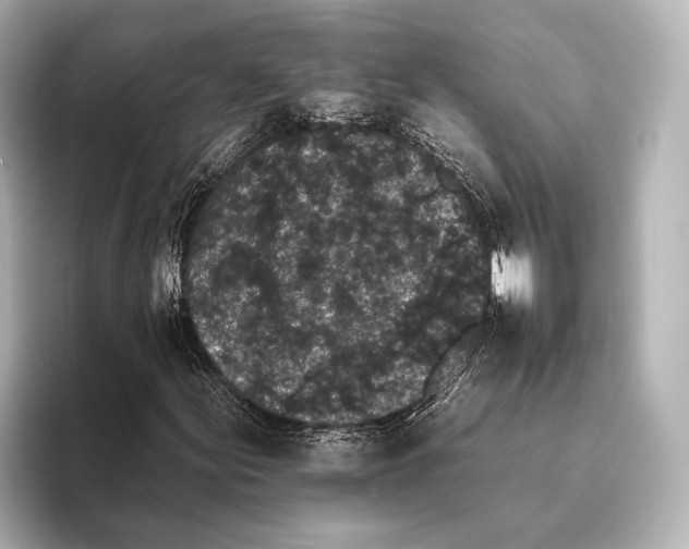 X0000095671155200802051224