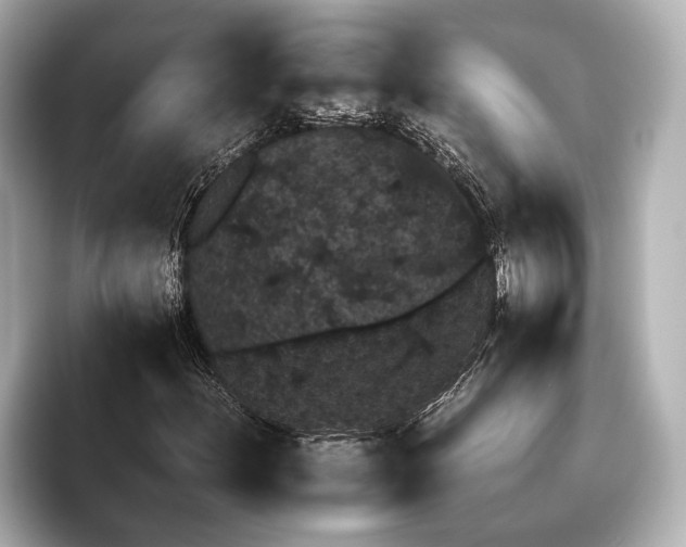 X0000095671156200802051224