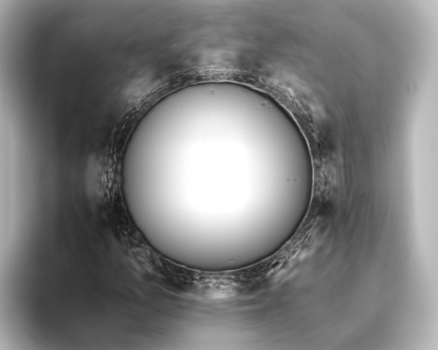 X0000095671157200802051224