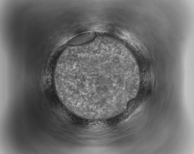 X0000095671159200802051224