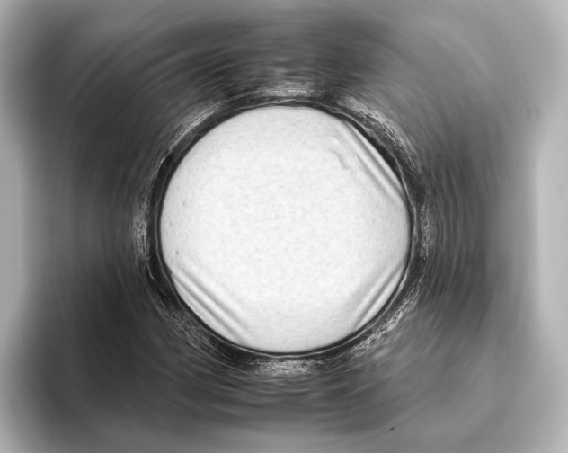 X0000095671162200802051224