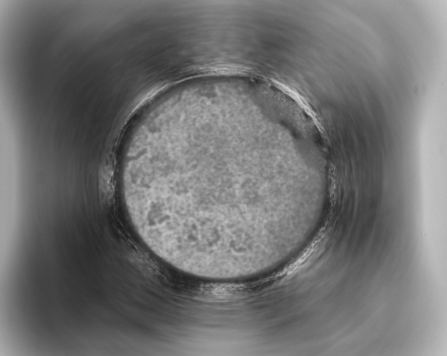 X0000095671163200802051224