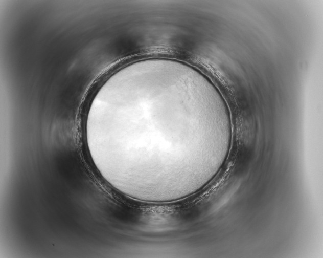 X0000095671164200802051224