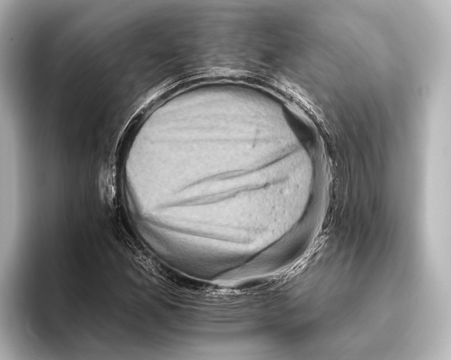 X0000095671165200802051224