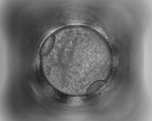 X0000095671167200802051224