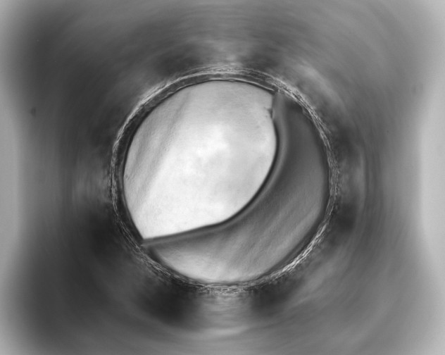 X0000095671168200802051224