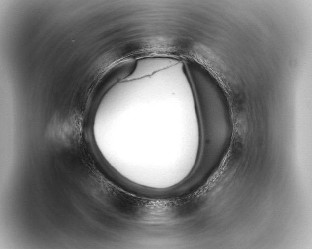 X0000095671169200802051224