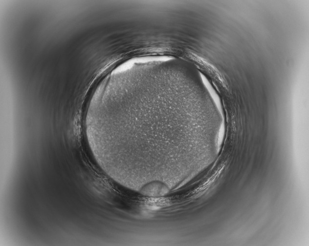 X0000095671170200802051224