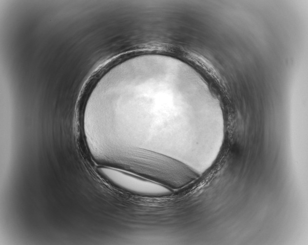 X0000095671172200802051224