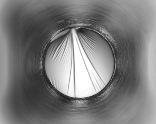 X0000095671177200802051224