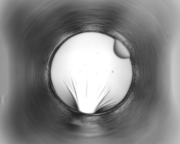 X0000095671178200802051224