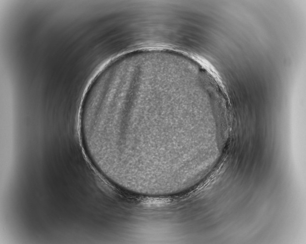 X0000095671183200802051224